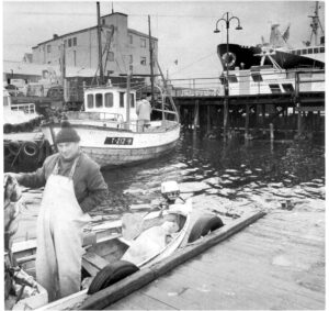 havna i mai 1978, fra jub.nr Harstad 75 år.

- brukt 10.juni 1978

HT

knk