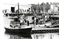 fiskebrygga, foto Nilas

21.juli 1988

HT

knk