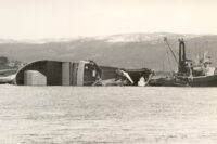 Havskjell Viking1