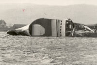 Havskjell Viking2