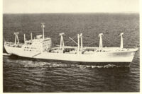 Havtjeld1