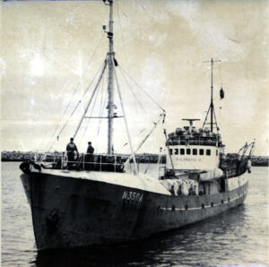 Polarbris