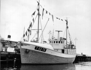 Utvik Senior1