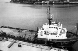 balder-harstad2