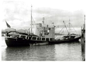 Fisk 1